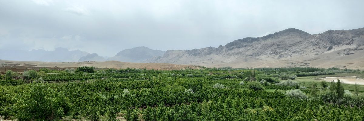 Hasibnoormal's profile banner image