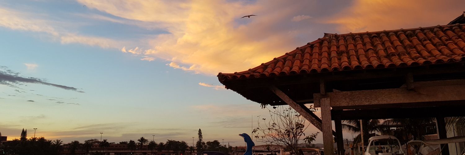 celiatavares's profile banner image