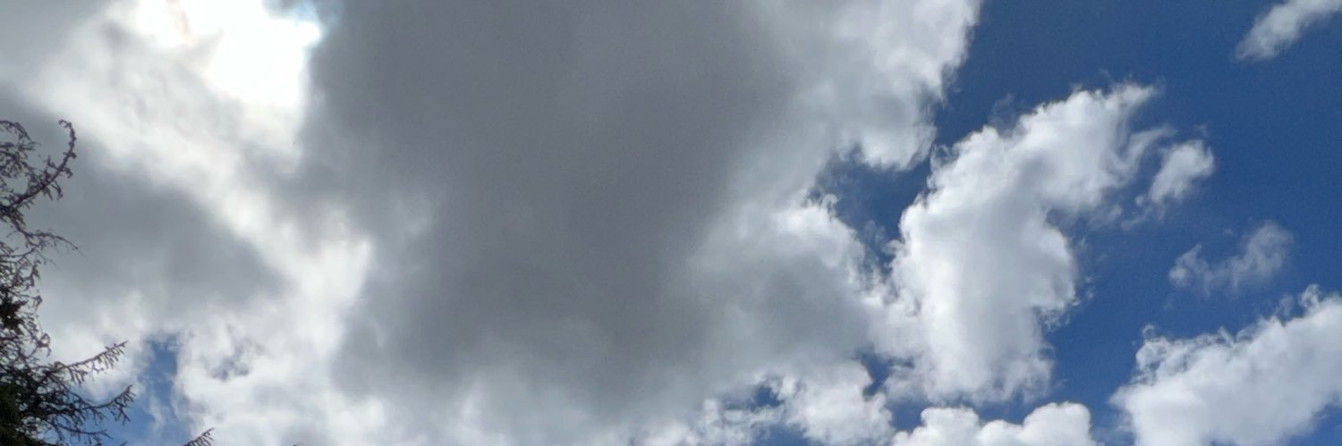 Clarissa Riddles banner