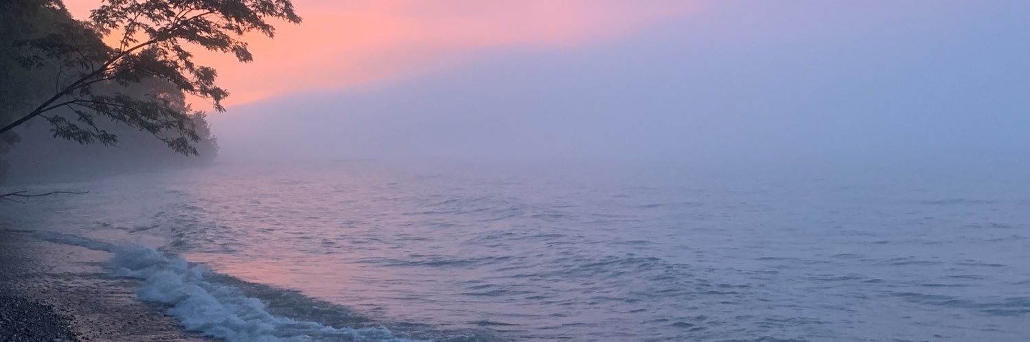 houseplantbabe's profile banner image