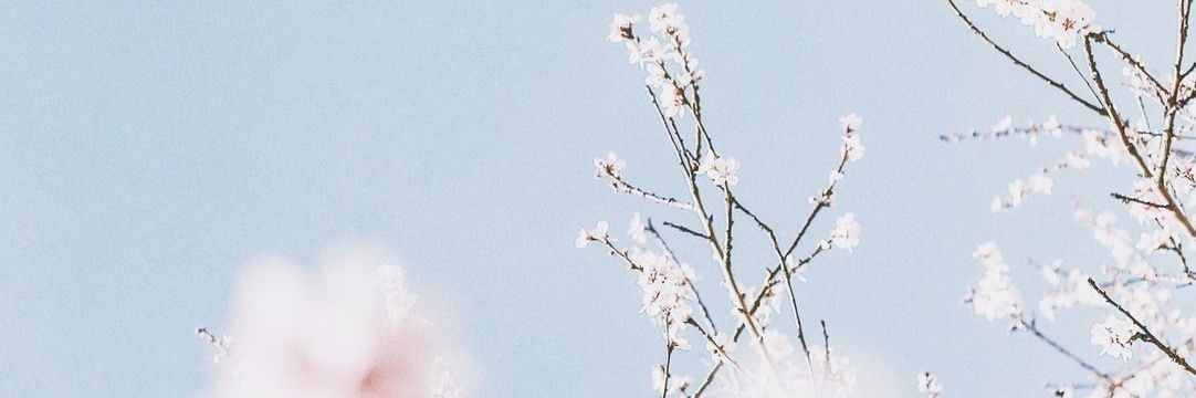azsmuse's profile banner image