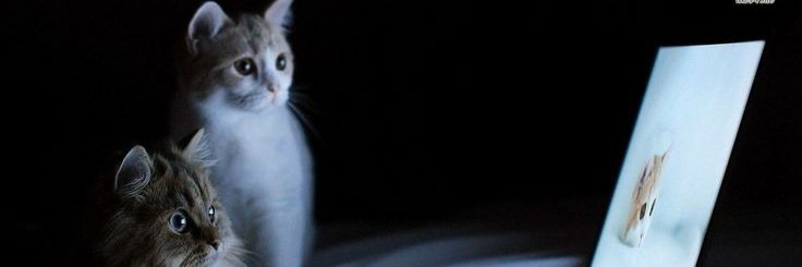 AlexiaSVG's profile banner image