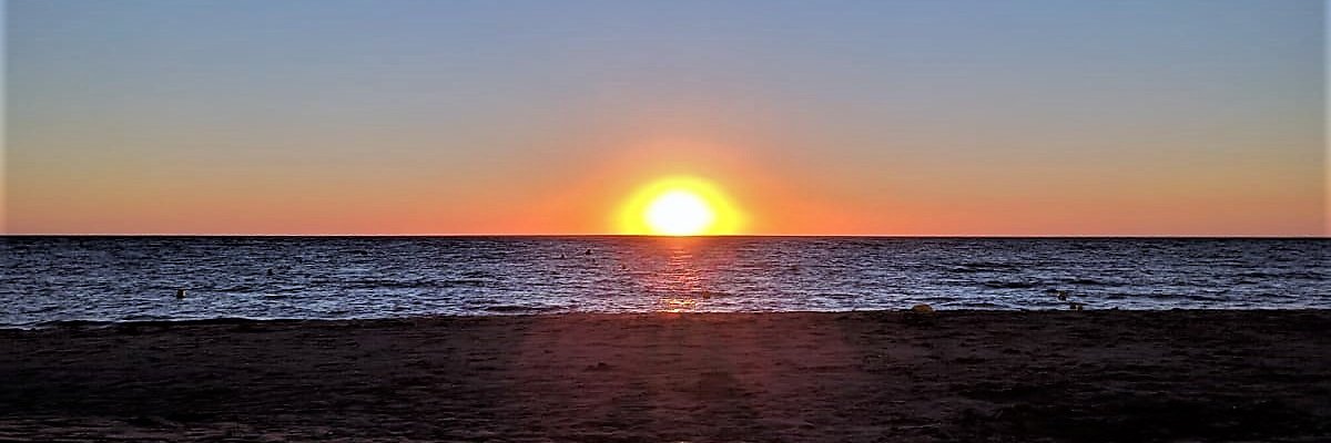Arroyada_'s profile banner image