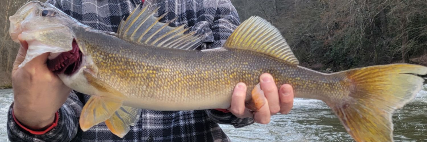 Lake_and_Stream's profile banner image
