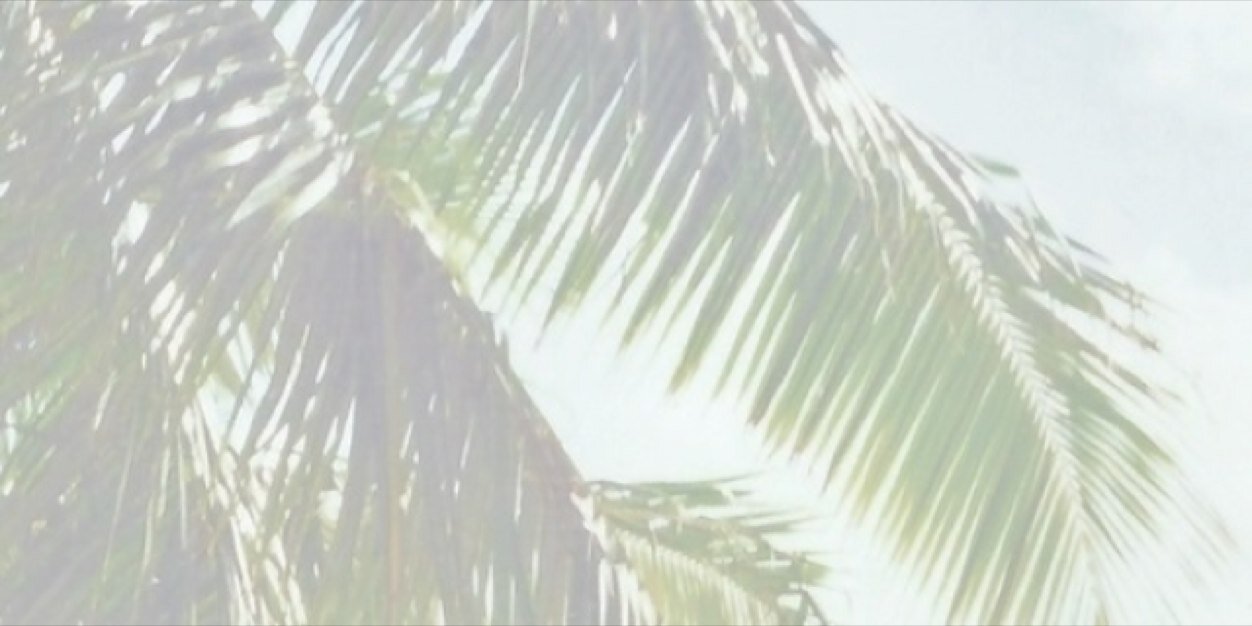 thetomlinette's profile banner image