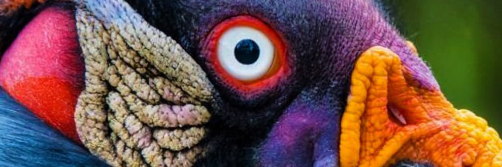 dimitry1970's profile banner image