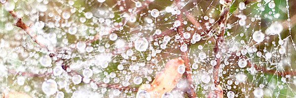 SueReid24 Profile Banner