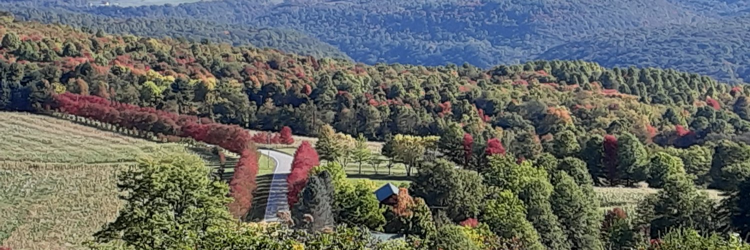 mmarimoor's profile banner image
