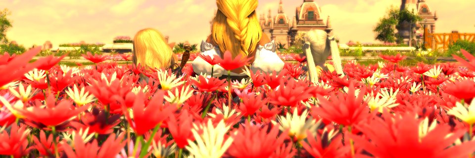 echo_FFXIV's profile banner image