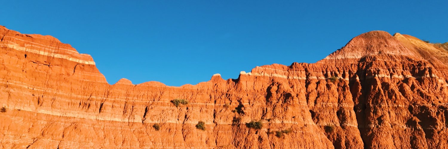 maddisonPriddy's profile banner image