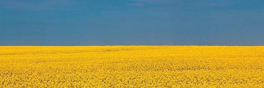 edlr73's profile banner image