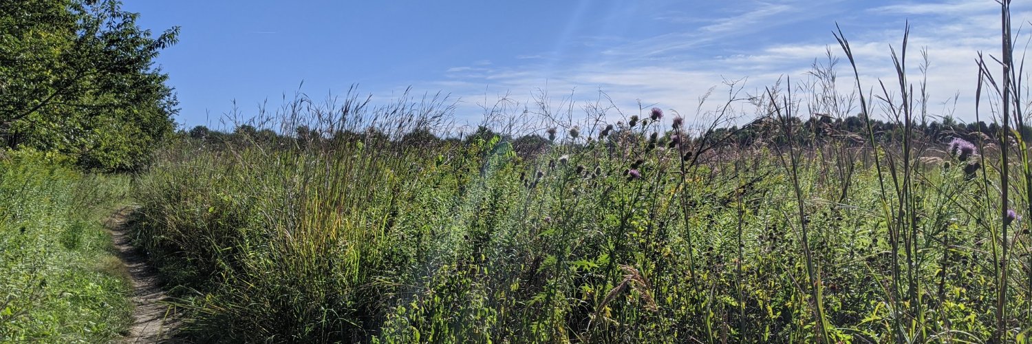 Christine Herman banner