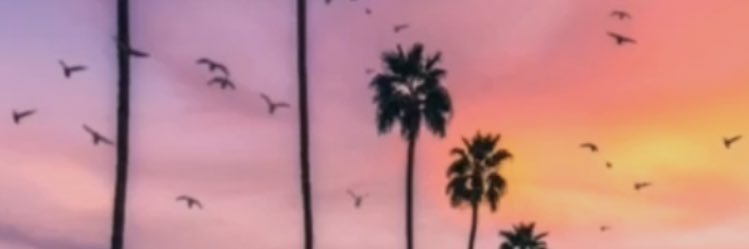 EKnightt01's profile banner image