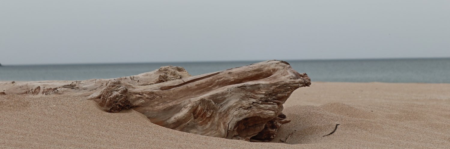 gzdaygt's profile banner image