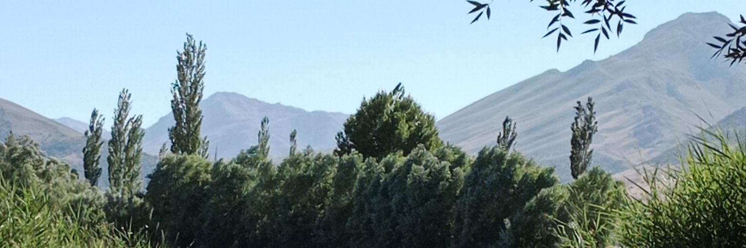ercanksack's profile banner image