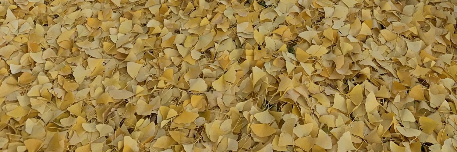 _polpoy's profile banner image