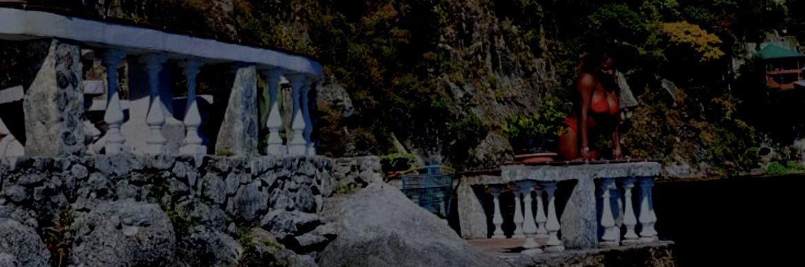 shannahsmith's profile banner image