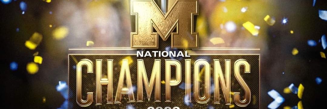 Austin Martin banner