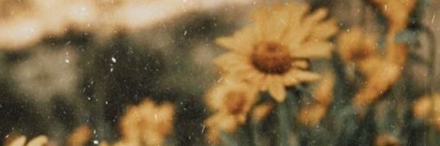 caroliinecarty's profile banner image