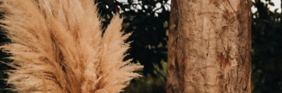 eumonizim's profile banner image