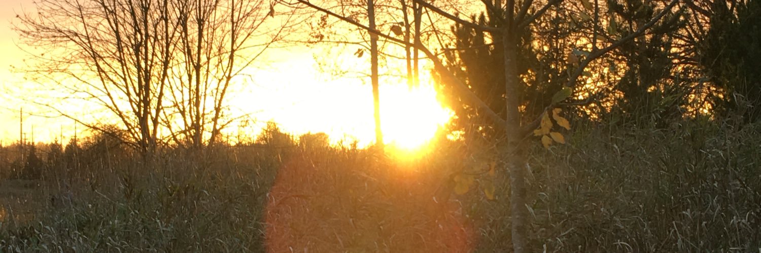 Ra_Erickson's profile banner image