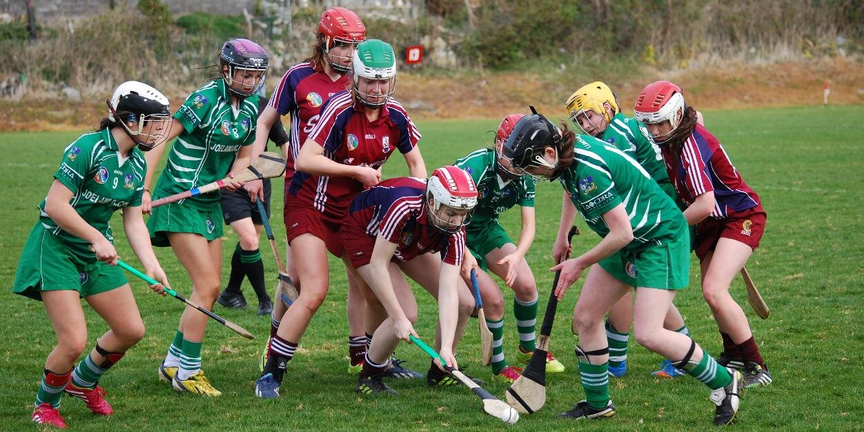 limerick Camogie Dev banner