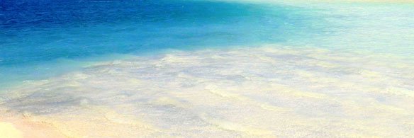 Hidezilla's profile banner image