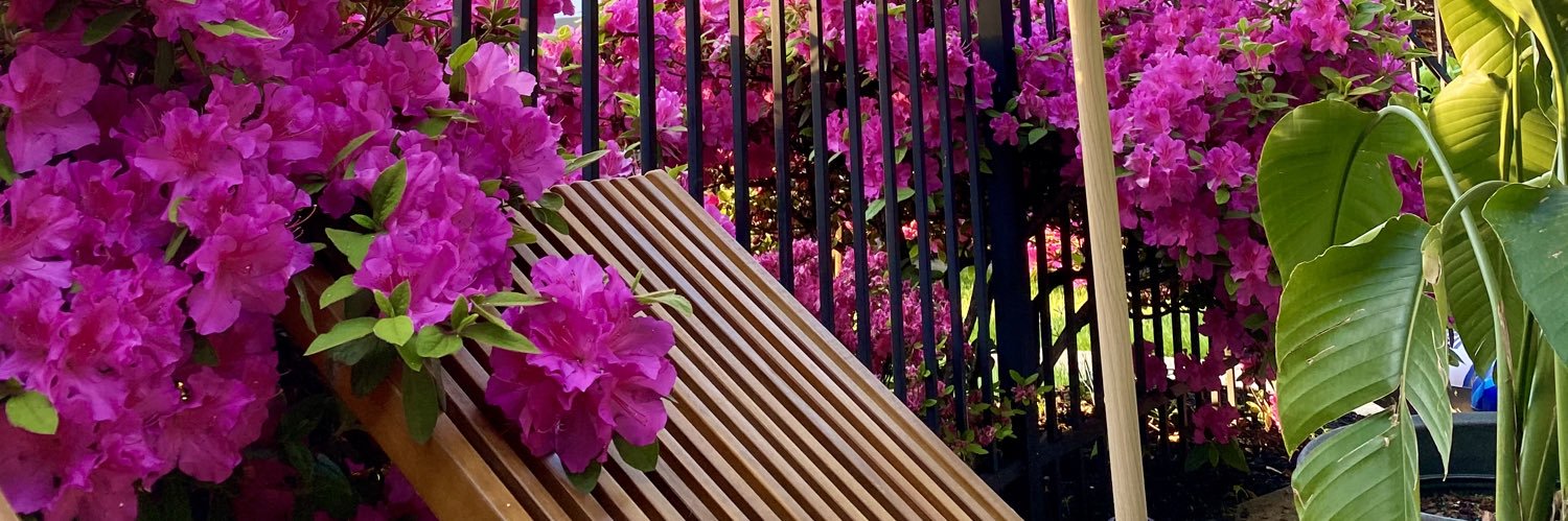 mayamorena_'s profile banner image