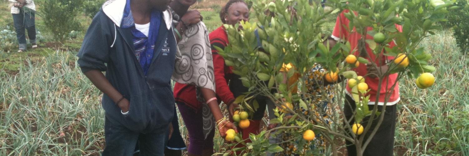 CISHUGI ROGER Avocat à Kinshasa et penseur juriste banner
