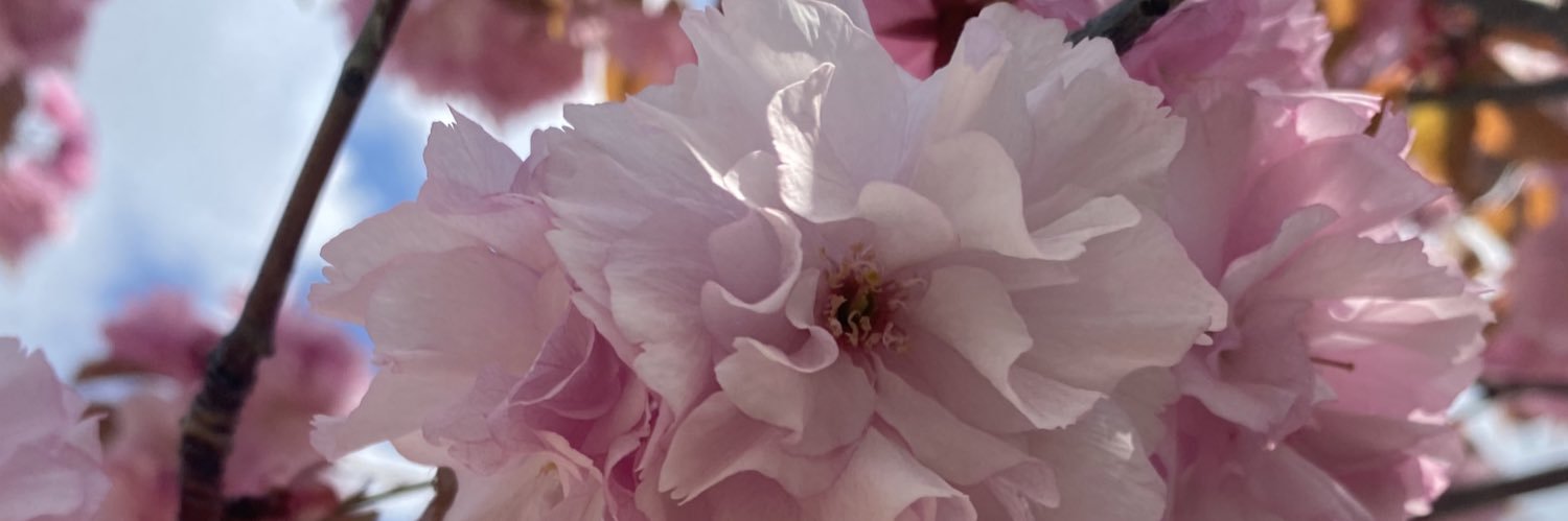 melike_den's profile banner image