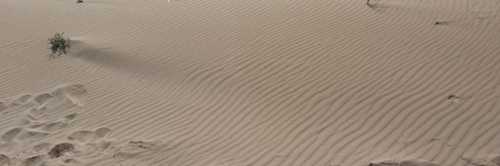 biforfi's profile banner image