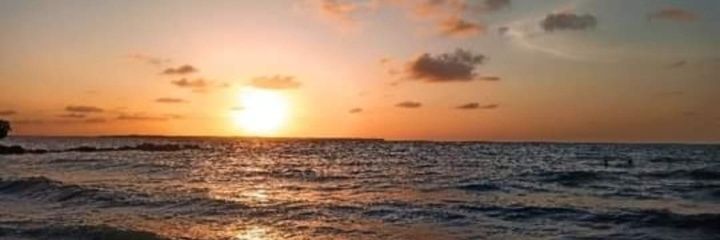 Laurinastella's profile banner image