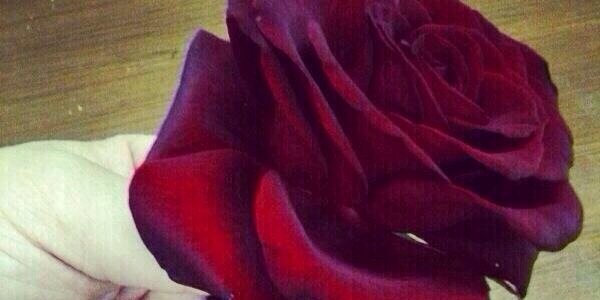 emaa113's profile banner image