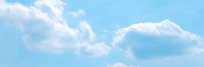 eceftaustin's profile banner image