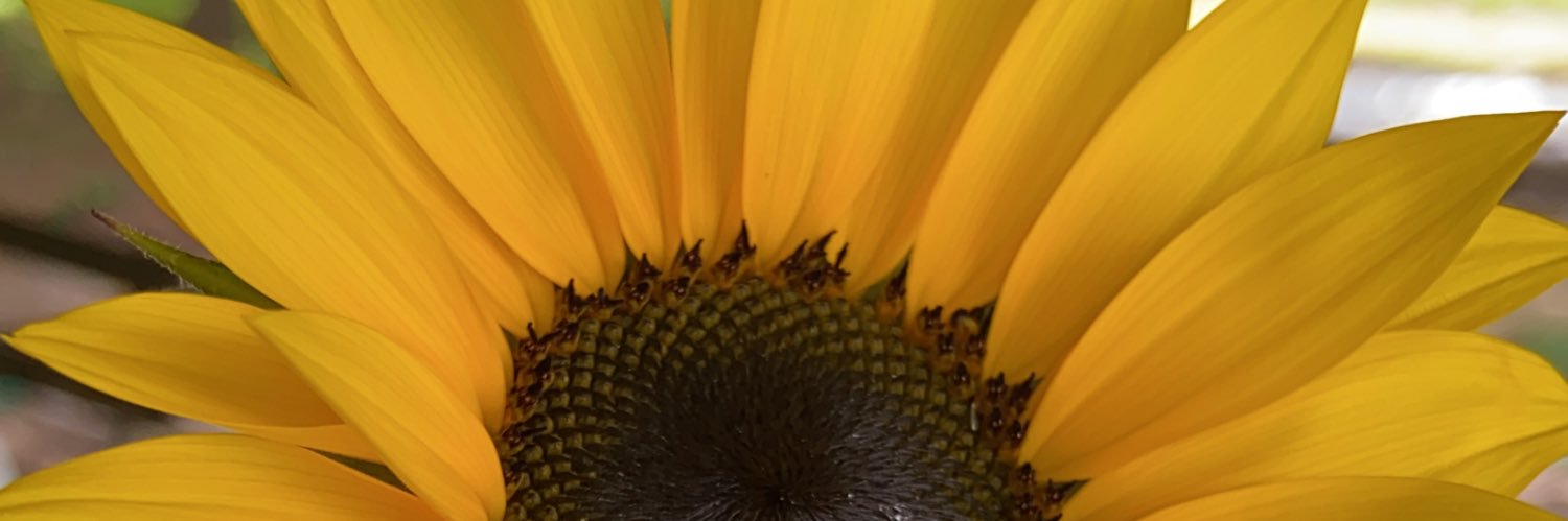 StephanieMuZa's profile banner image