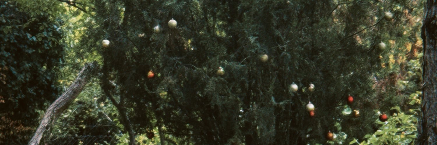 özlem banner