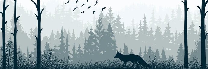 BlueVulpes's profile banner image