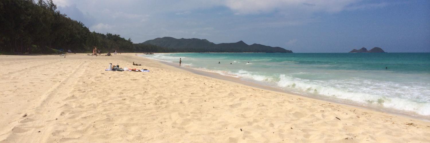 941125Hawaii's profile banner image