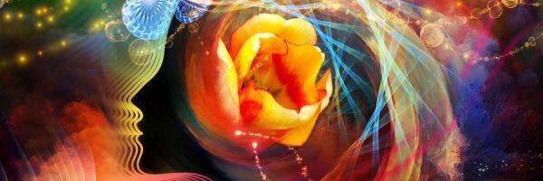 WASAmatter Profile Banner