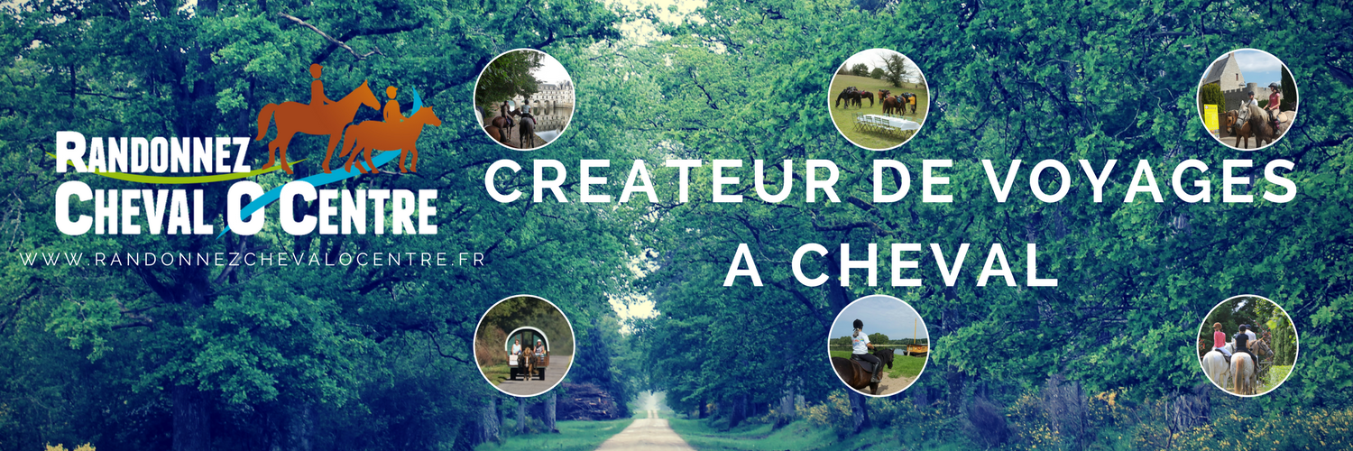 Chevalocentre's profile banner image