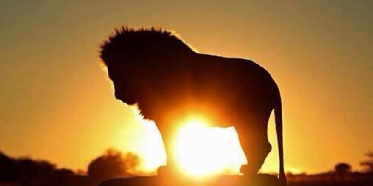 Mark Fuller🇺🇦 banner