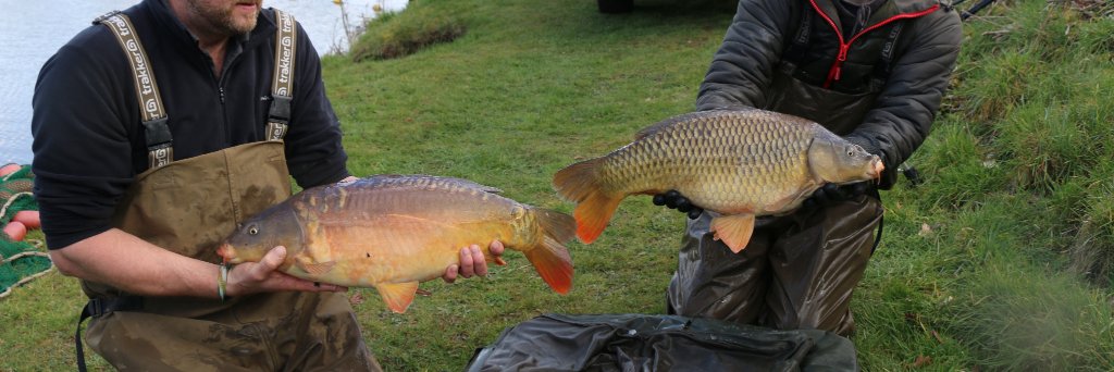 LavenderHallFishery banner