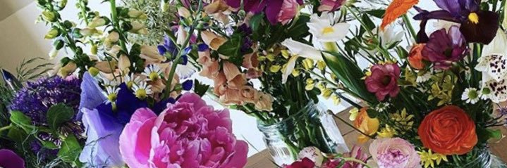 katiebecker23's profile banner image