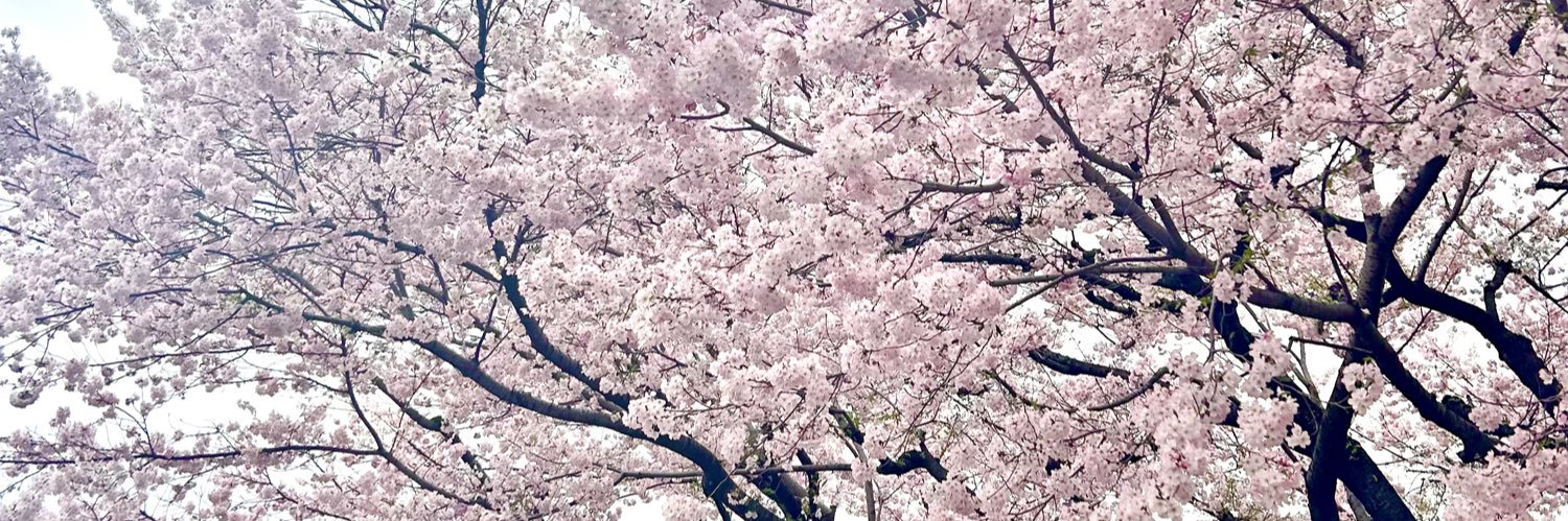 rika__takeuchi's profile banner image