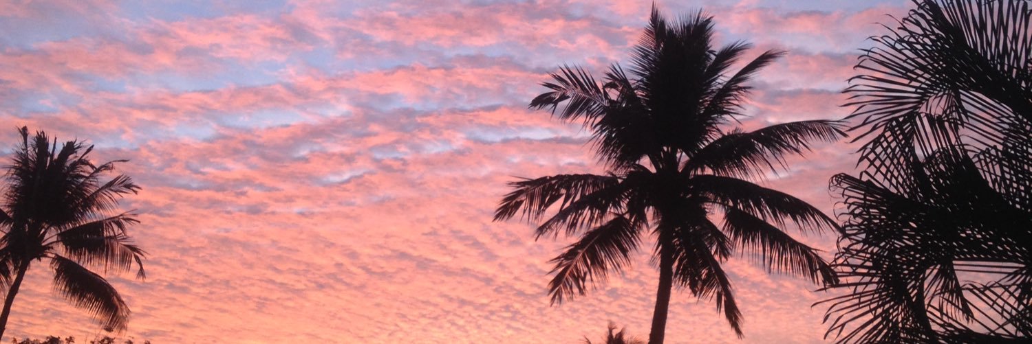 Jono & Laynie banner