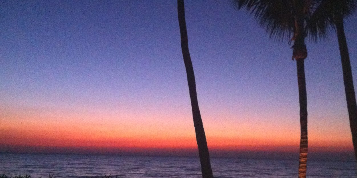 Stephen Taylor banner