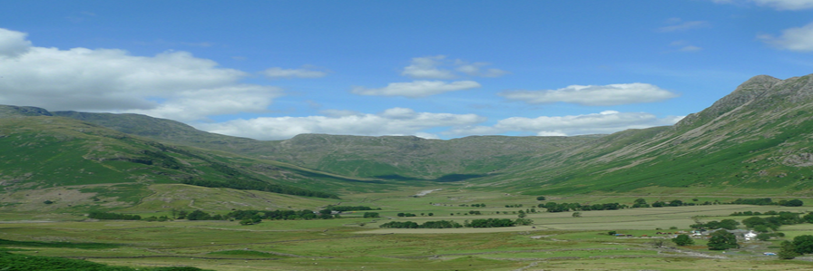 SoilPforum's profile banner image