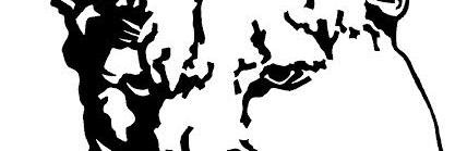 Crestview Athletics banner