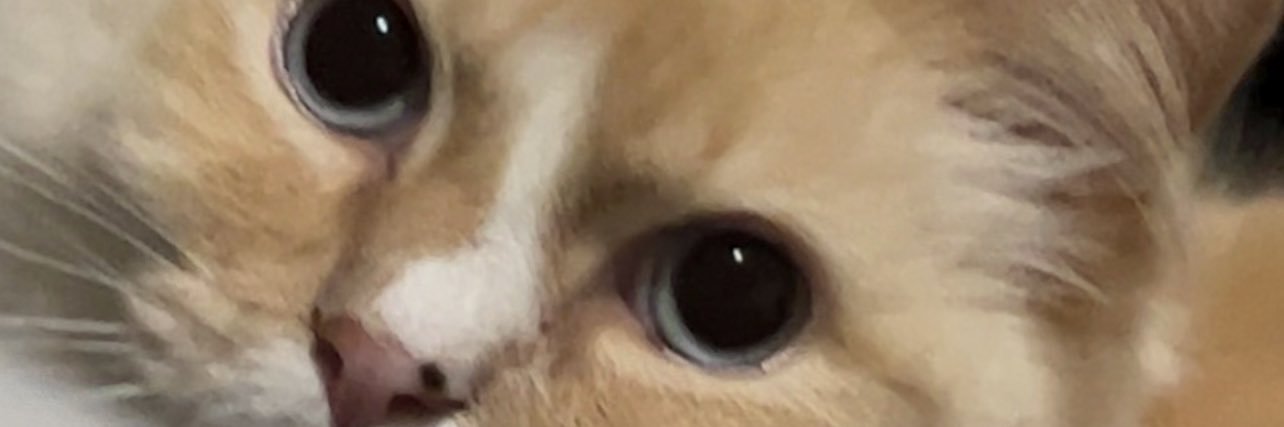 Leland Coyle 👮🏻‍♂️ banner