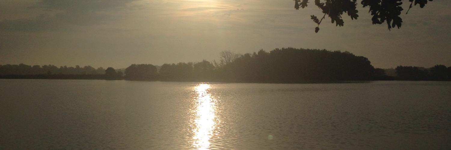 olivier coustere banner